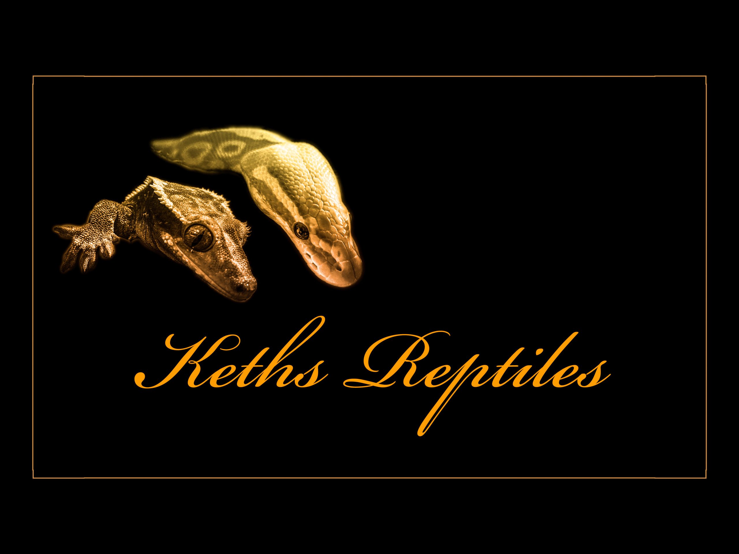 Keths Reptiles